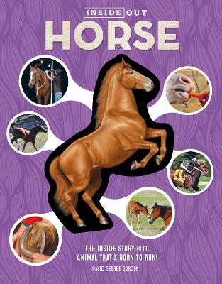 Inside Out Horse: The Inside Story on the Animal That's Born to Run!