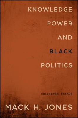 Black politics essay image