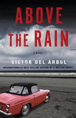 Above The Rain: A Novel