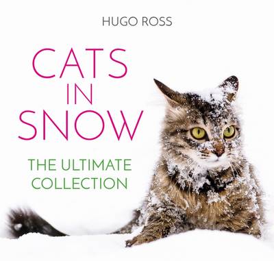 Cats in Snow: The Ultimate Collection