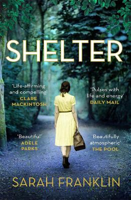 Shelter: 'One of the year's hottest debuts'