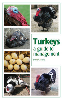 Turkeys: A Guide to Management