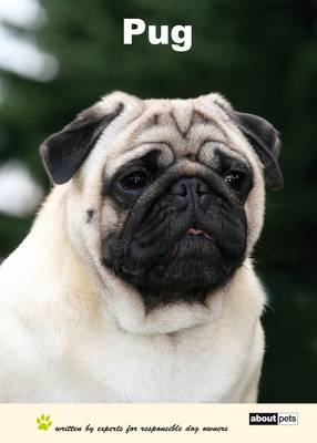 Pug