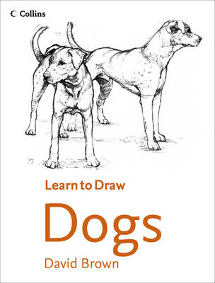 Collins Learn to Draw Dogs
