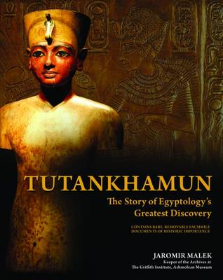 Tutankhamun: The Life of the Boy King