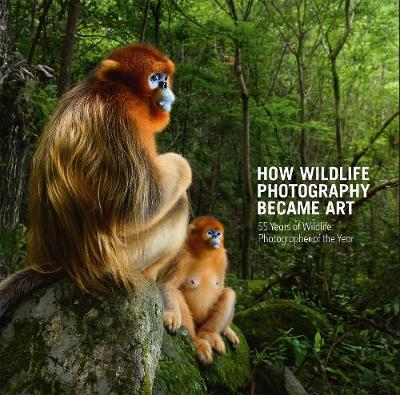 How Wildlife Photography Became Art: 55 Years of Wildlife Photographer of the Year