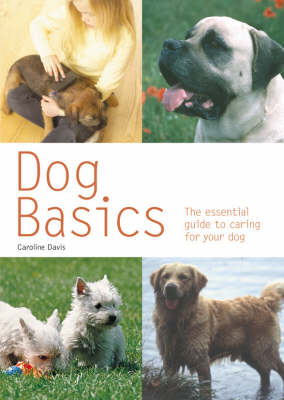 Dog Basics: The Practical Owner's Guide