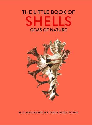The Little Book of Shells: Gems of Nature
