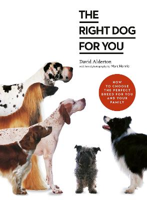 The Right Dog for You: How to choose the perfect breed for you and your family