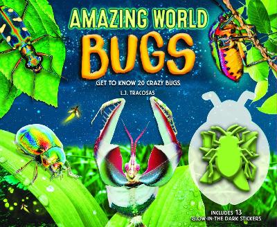 Amazing World: Bugs: Get To Know 20 Crazy Bugs