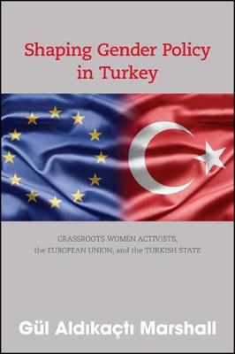 Shaping Gender Policy in Turkey: Grassroots Women Activists, the European Union, and the Turkish State