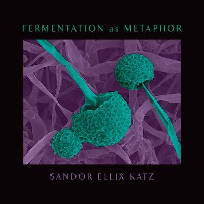Fermentation as Metaphor: From the Author of the Bestselling ''The Art of Fermentation''