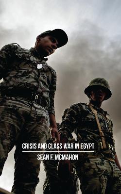 Crisis and Class War in Egypt: Social Reproduction, Factional Realignments and the Global Political Economy