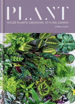 Plant: House plants: choosing, styling, caring