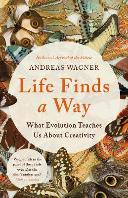 Life Finds a Way: What Evolution Teaches Us About Creativity
