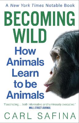 Becoming Wild: How Animals Learn to be Animals