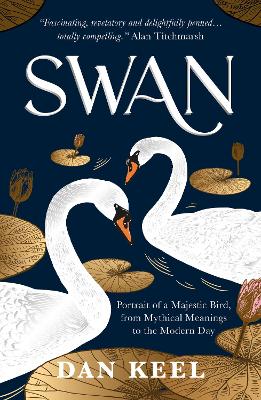 Swan: Portrait of a Majestic Bird, from Mythical Meanings to the Modern Day
