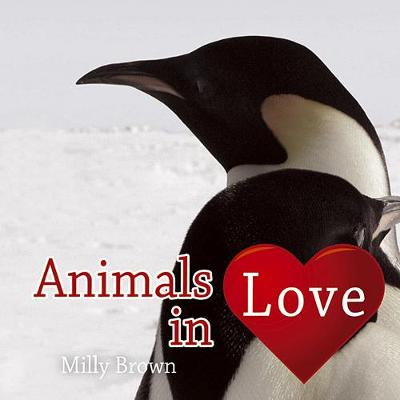 Animals in Love