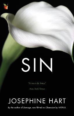 Sin: By the author of DAMAGE, inspiration for the Netflix series OBSESSION