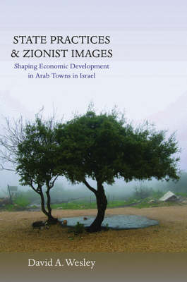 State Practices and Zionist Images: Shaping Economic Development in Arab Towns in Israel