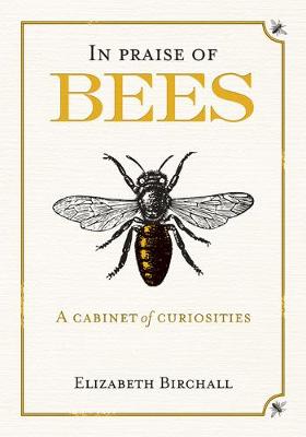 In Praise of Bees: A Cabinet of Curiosities