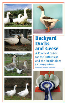 Backyard Ducks and Geese: A Practical Guide for the Enthusiast and the Smallholder