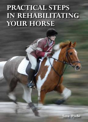 Practical Steps in Rehabilitating your Horse