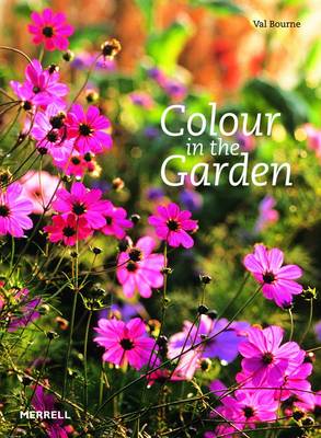 Colour in the Garden