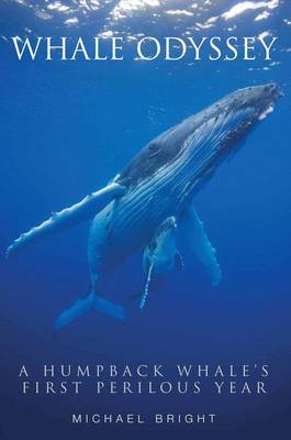 Whale Odyssey: A Humpback Whale's First Perilous Year