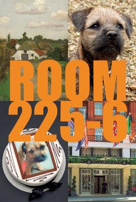 Room 225-6: A Novel