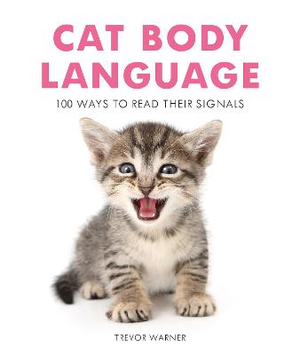 Cat Body Language: 100 Ways To Read Their Signals