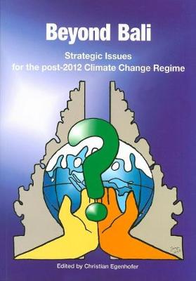 Beyond Bali: Strategic Issues for the Post-2012 Climate Change Regime