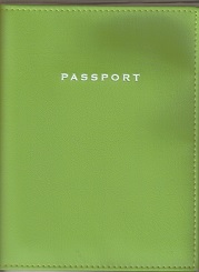 Urban Passport Holder